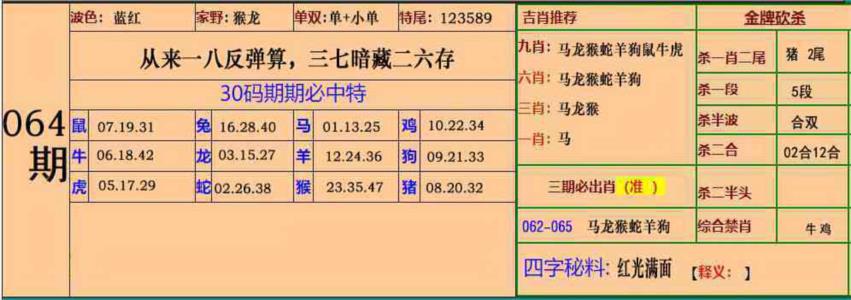 小鱼儿30码期期中