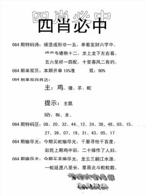 四肖中特(新)
