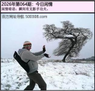 另版今日闲情