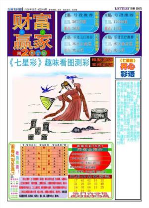 财富赢家（七星彩）