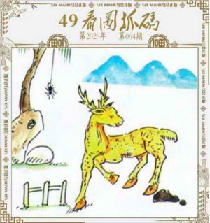 49看图抓码