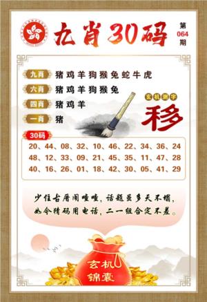 九肖30码