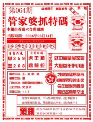 管家婆抓特码A