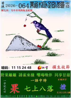 第2026064期图库