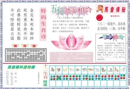 马会财经B