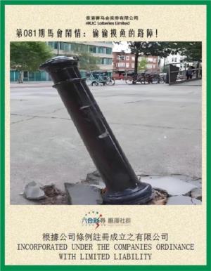马会闲情