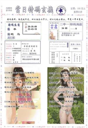 当日特码玄机-2