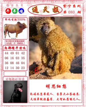 救通报