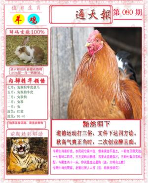 马经通天报