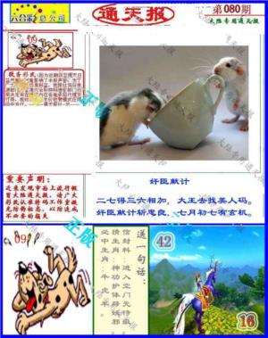大陆通天报