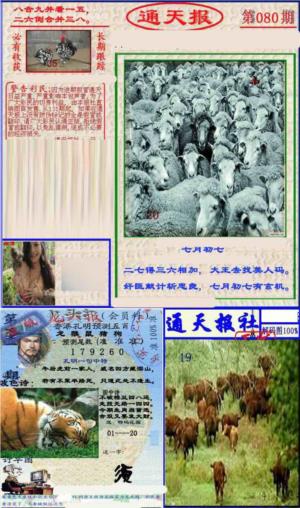 实力通天报