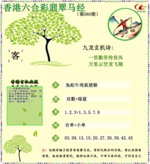翡翠马经