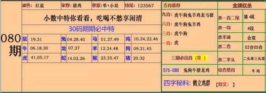小鱼儿30码期期中