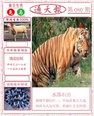 正版通天报