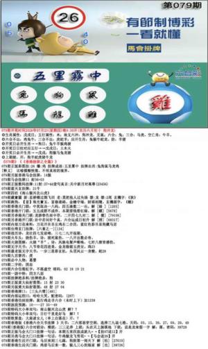 马会挂牌