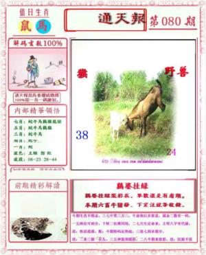 马经通天报(另版)