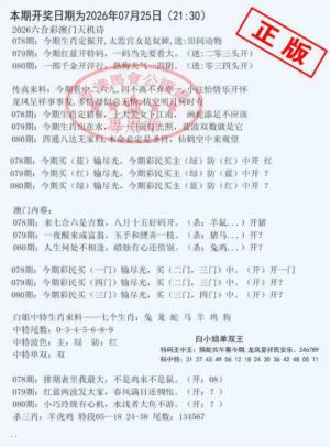 深圳特区报B