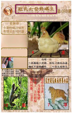 临武六合特码王