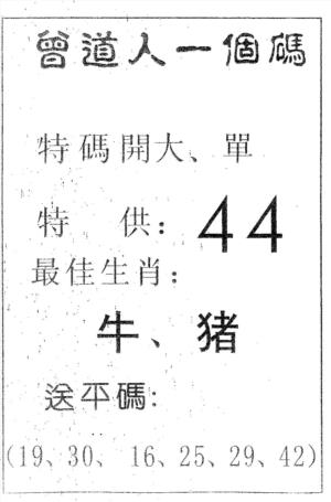 曾一个码