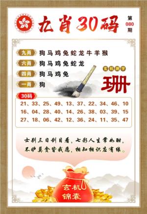 九肖30码