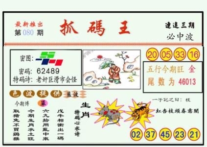 抓码王