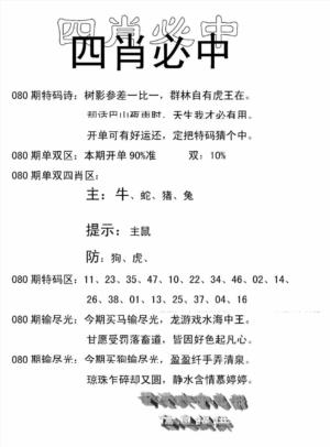 四肖中特(新)