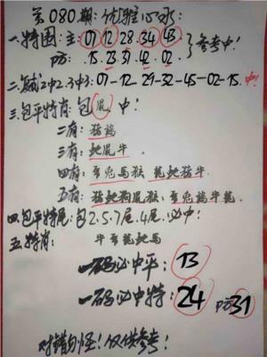 优雅心水