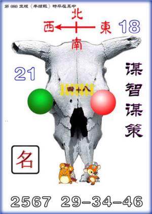 牛头报