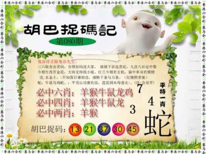 胡巴抓码记