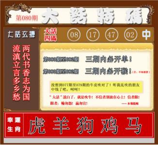 大话特码