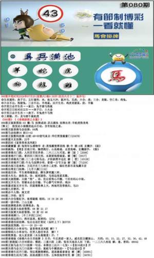 马会挂牌