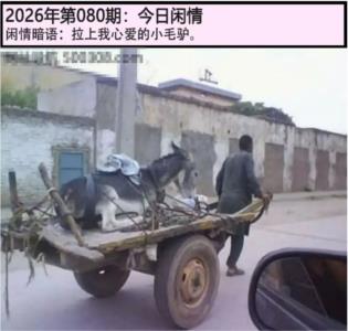 另版今日闲情