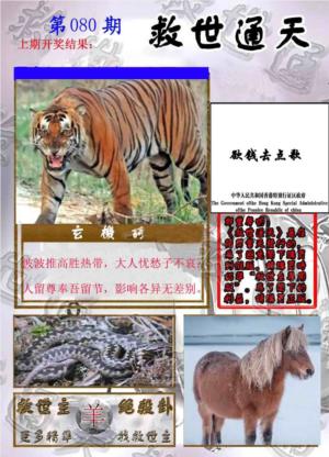 救世通天报