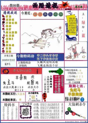 西陲透视(正版)