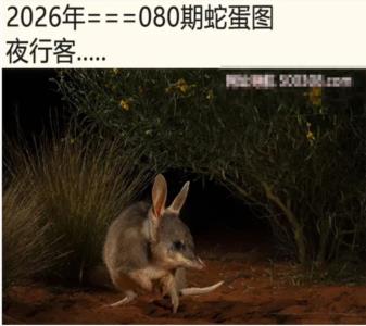 另版蛇蛋图