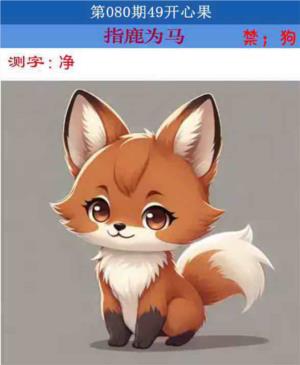 四九开心果