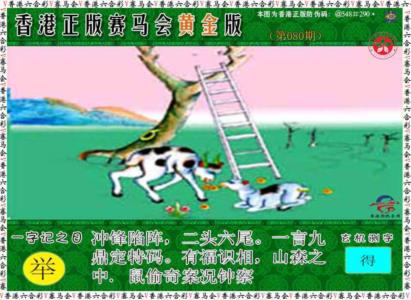 赛马会黄金版
