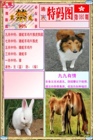 特码图