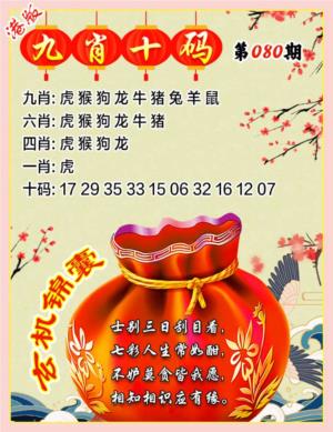 九肖十码