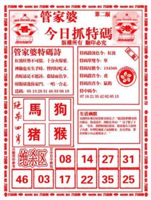 管家婆抓特码B