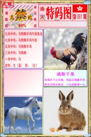 特码图