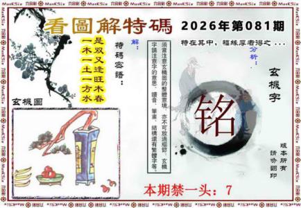 看图解特码