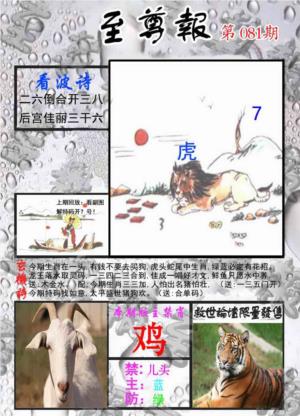 至尊报