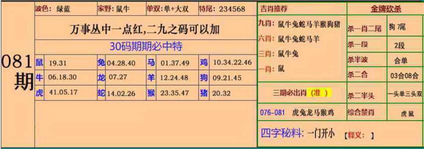 小鱼儿30码期期中