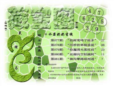 藏宝图(正版)