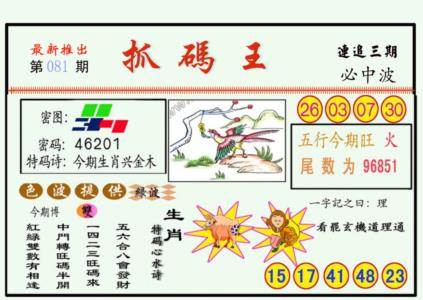 抓码王