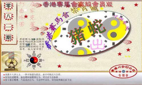 赛马会高级禁肖图(新）