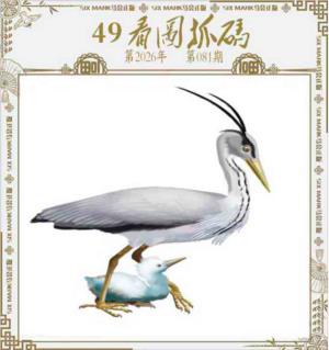 49看图抓码