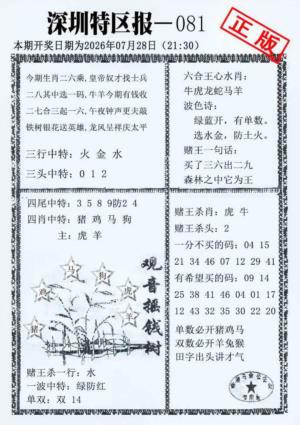 深圳特区报A