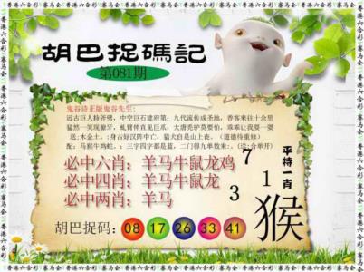 胡巴抓码记